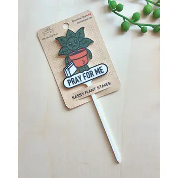Sassy Plant Stakes