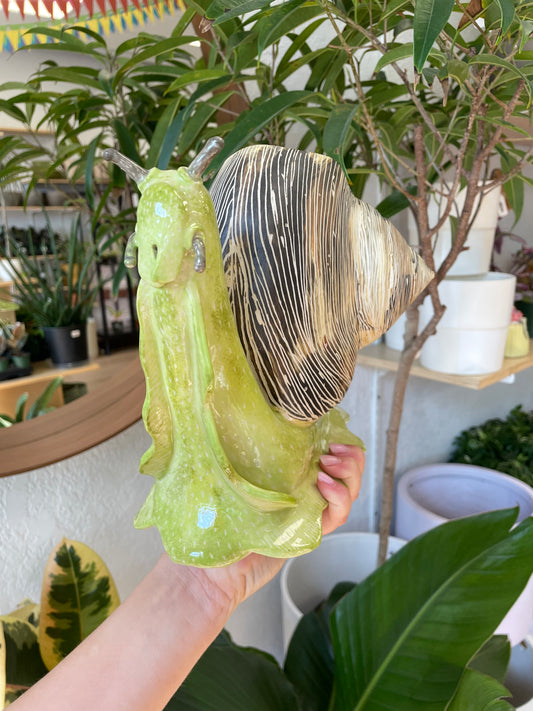 Snail Pot