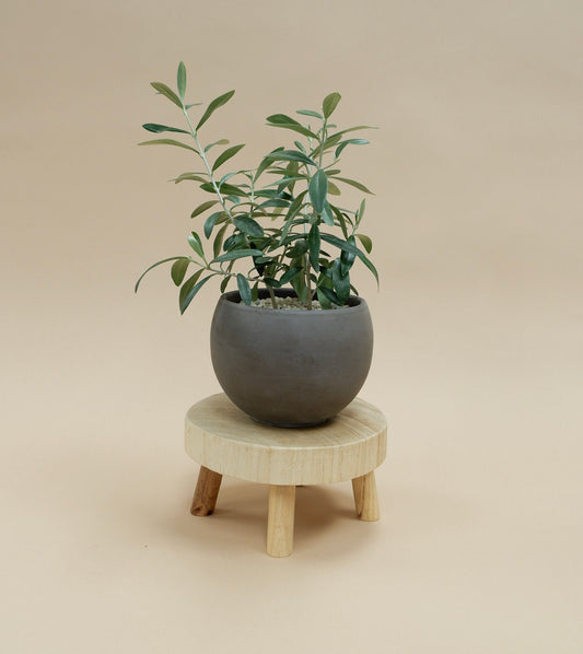 Potted Arrangement