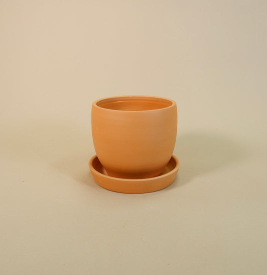 Baden Pot