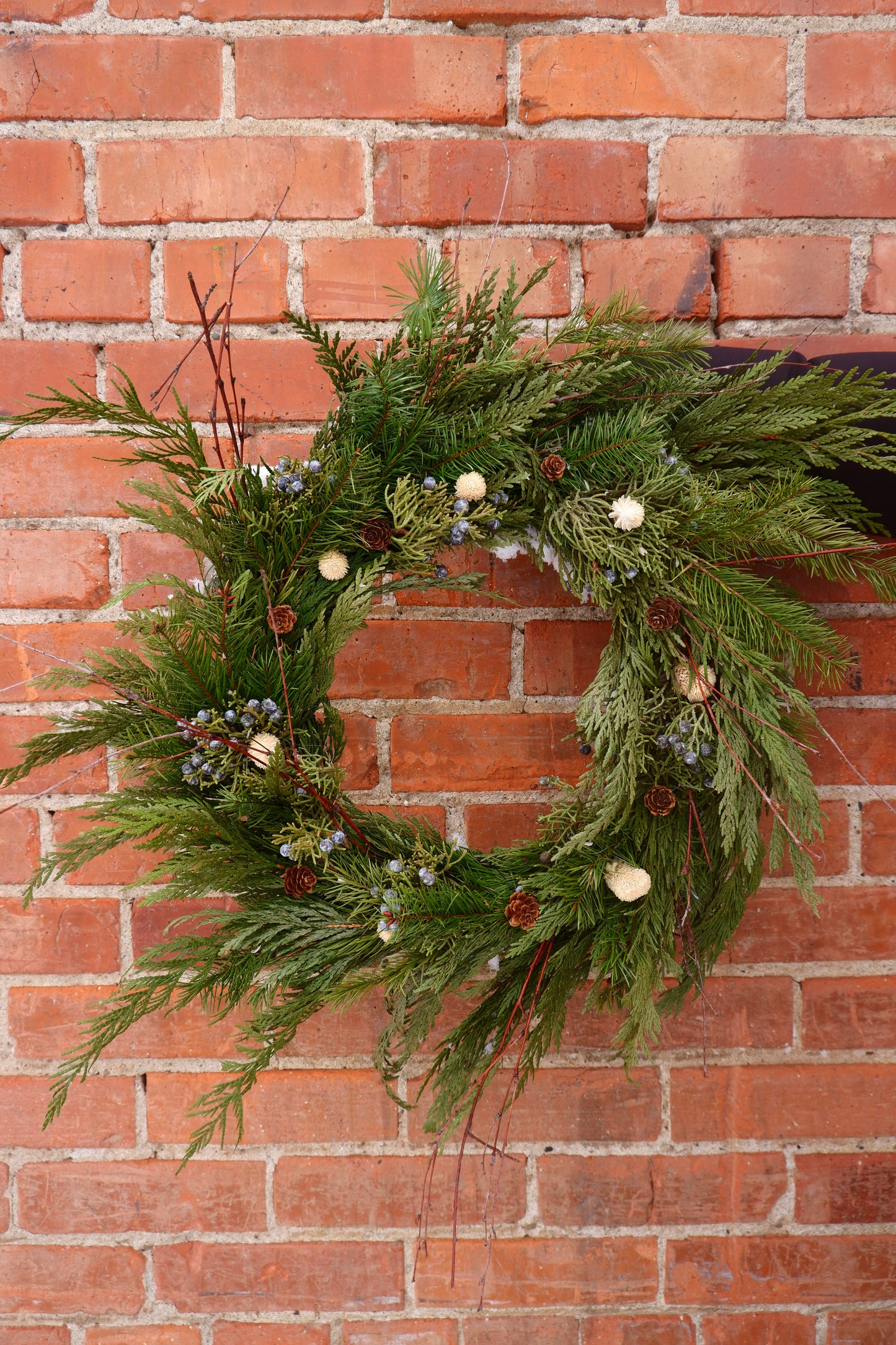 Holiday Wreaths