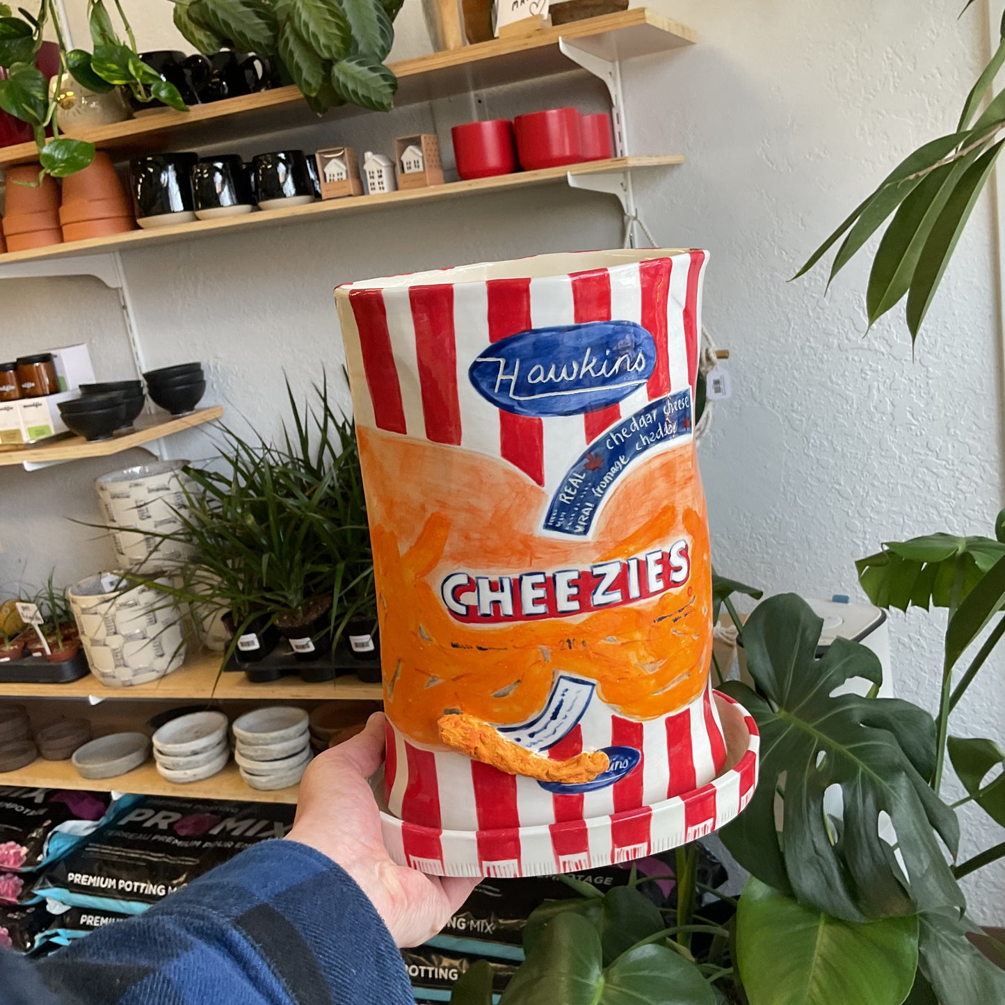 Cheezies Pot
