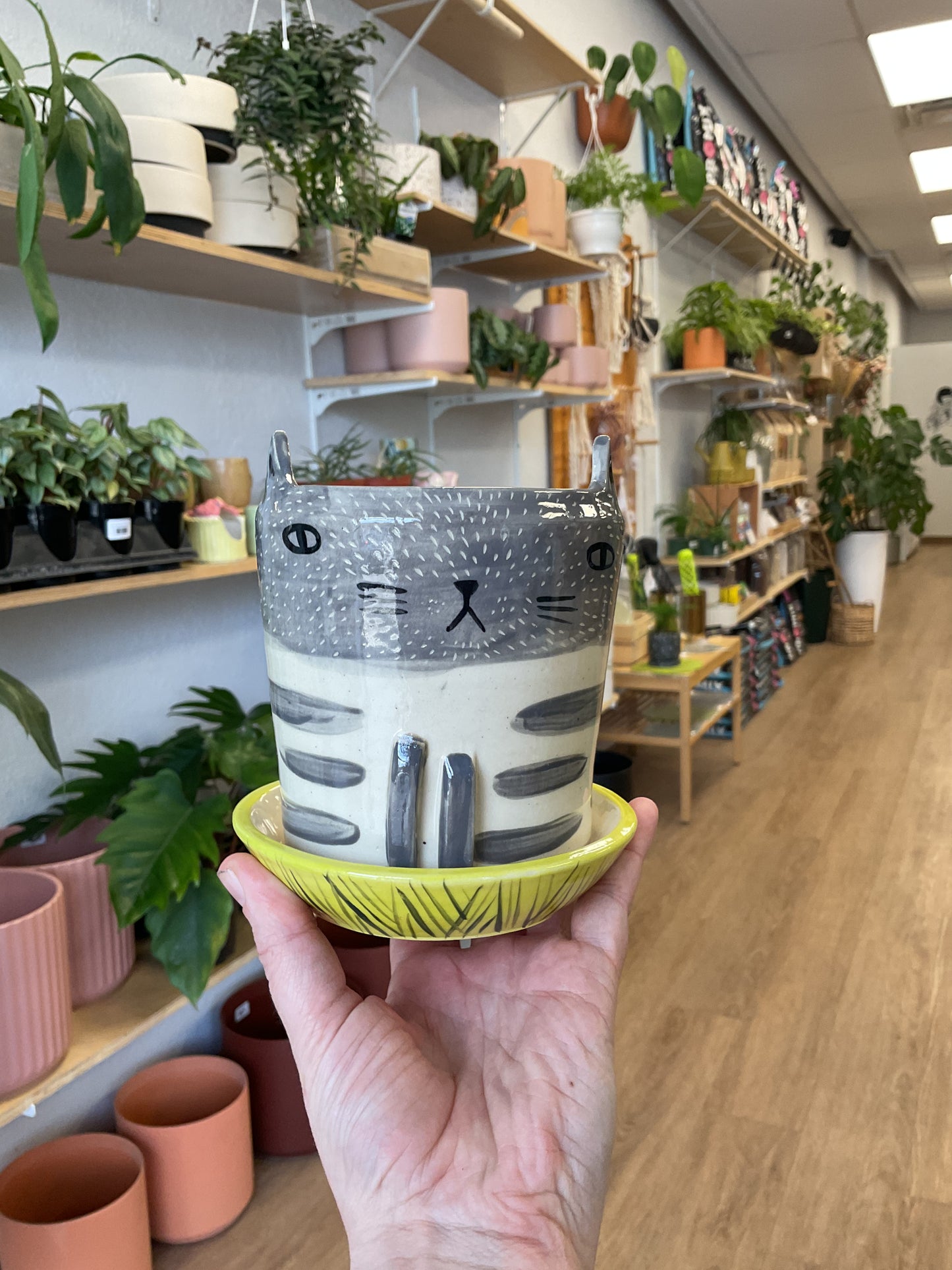 Funky Cat Pot