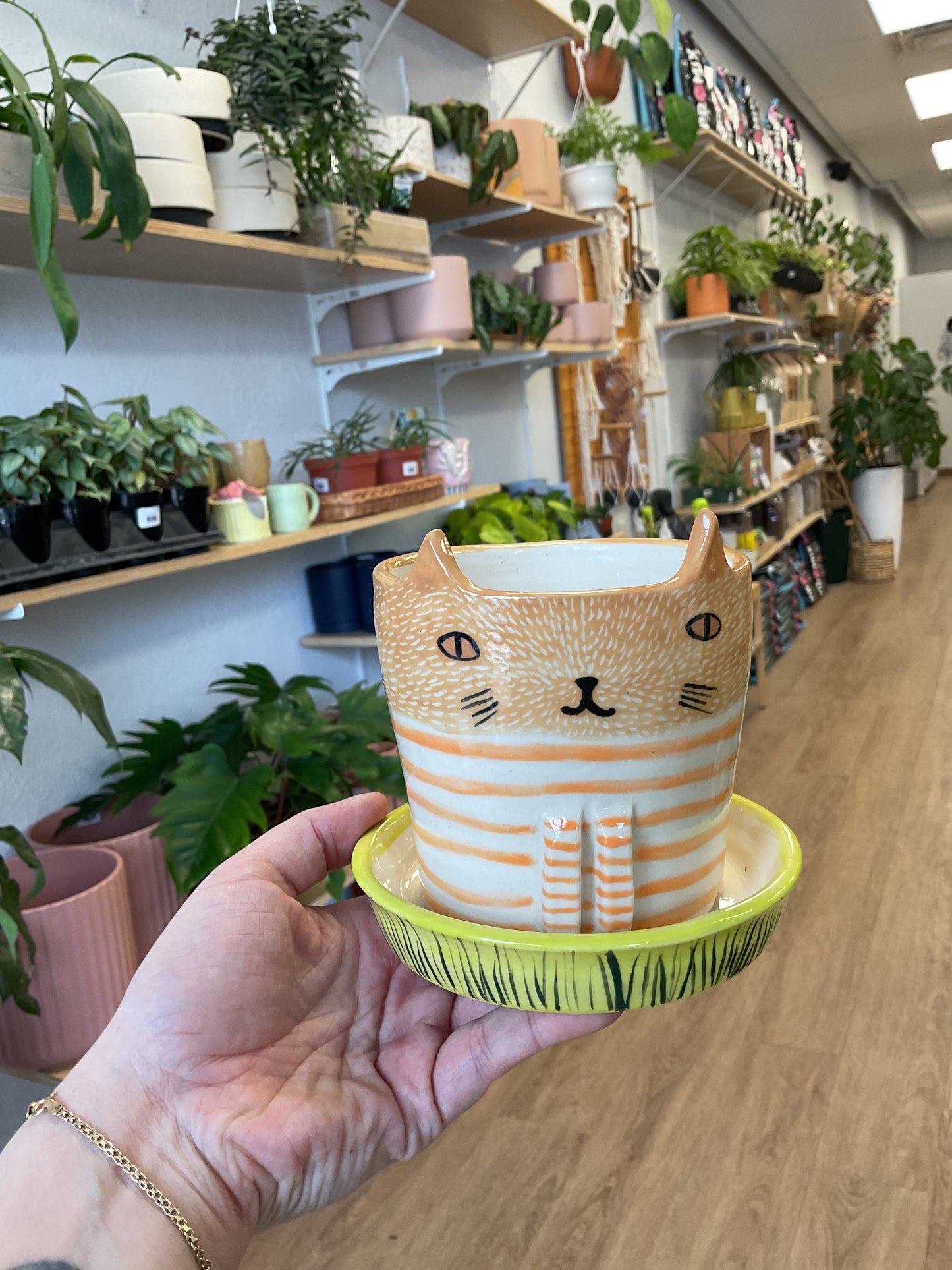Funky Cat Pot