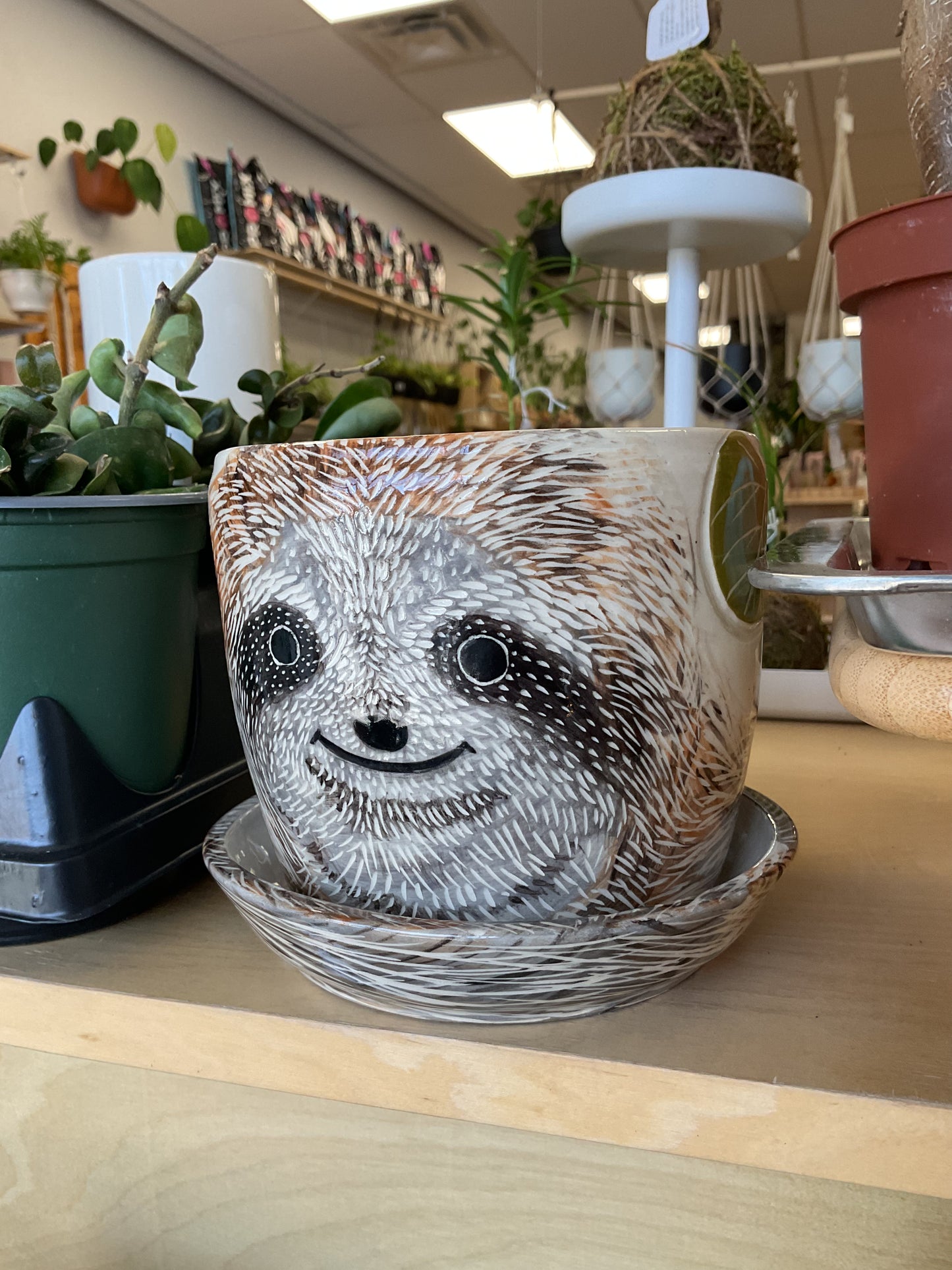 Sloth Pot
