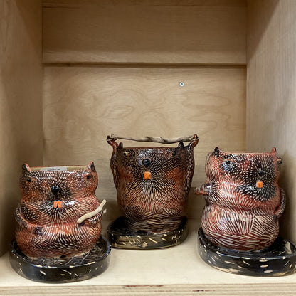 Beaver Pot