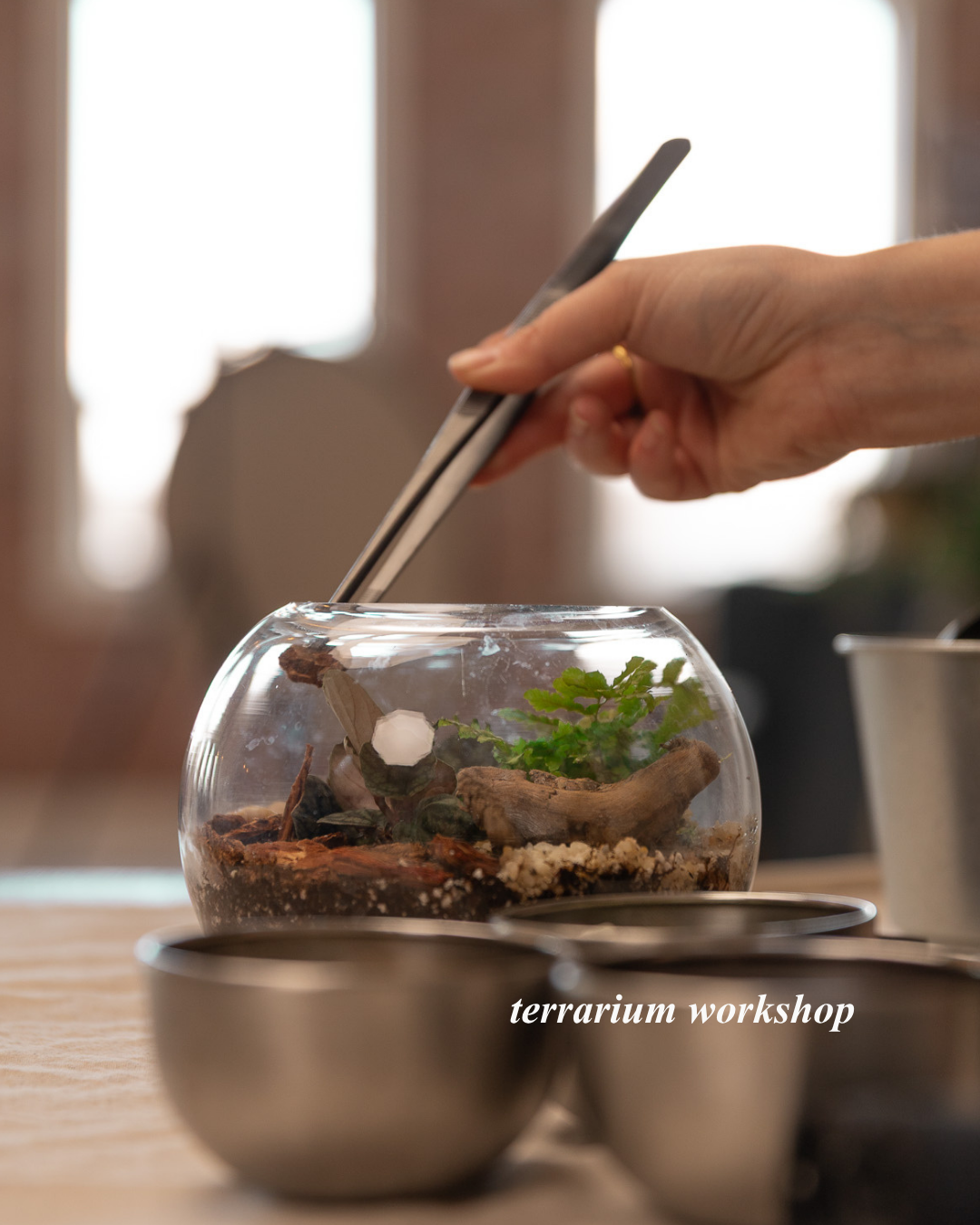 Terrarium Workshop