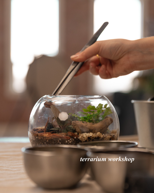 Terrarium Workshop