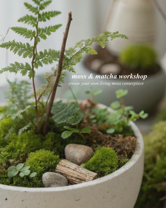 Moss & Matcha Workshop