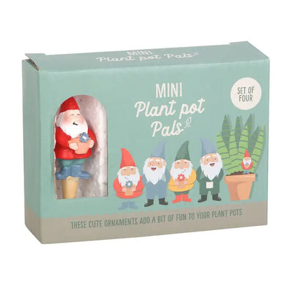 Mini Gnome Plant Pot Pal