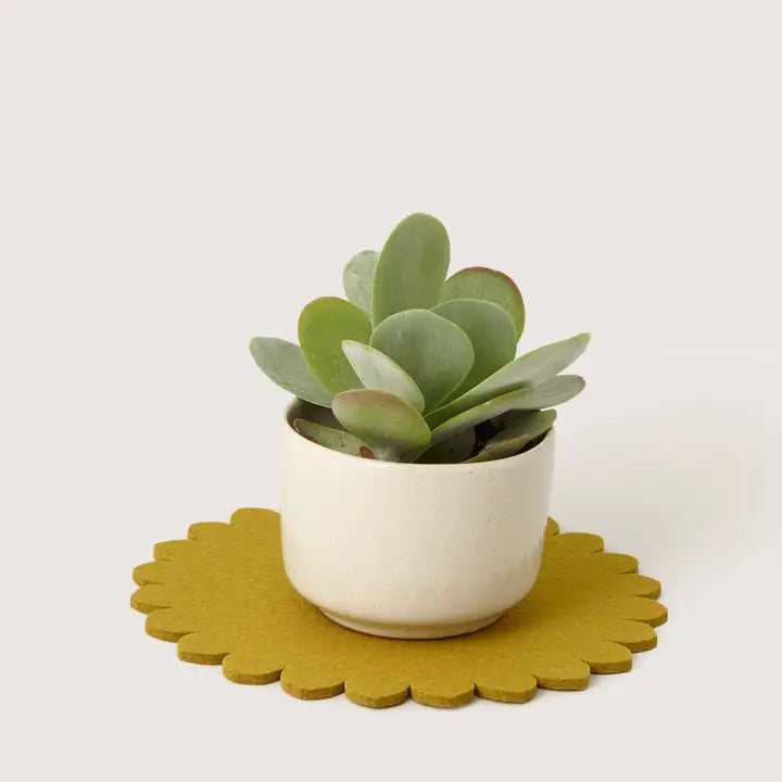 Crest Merino Wool Trivet