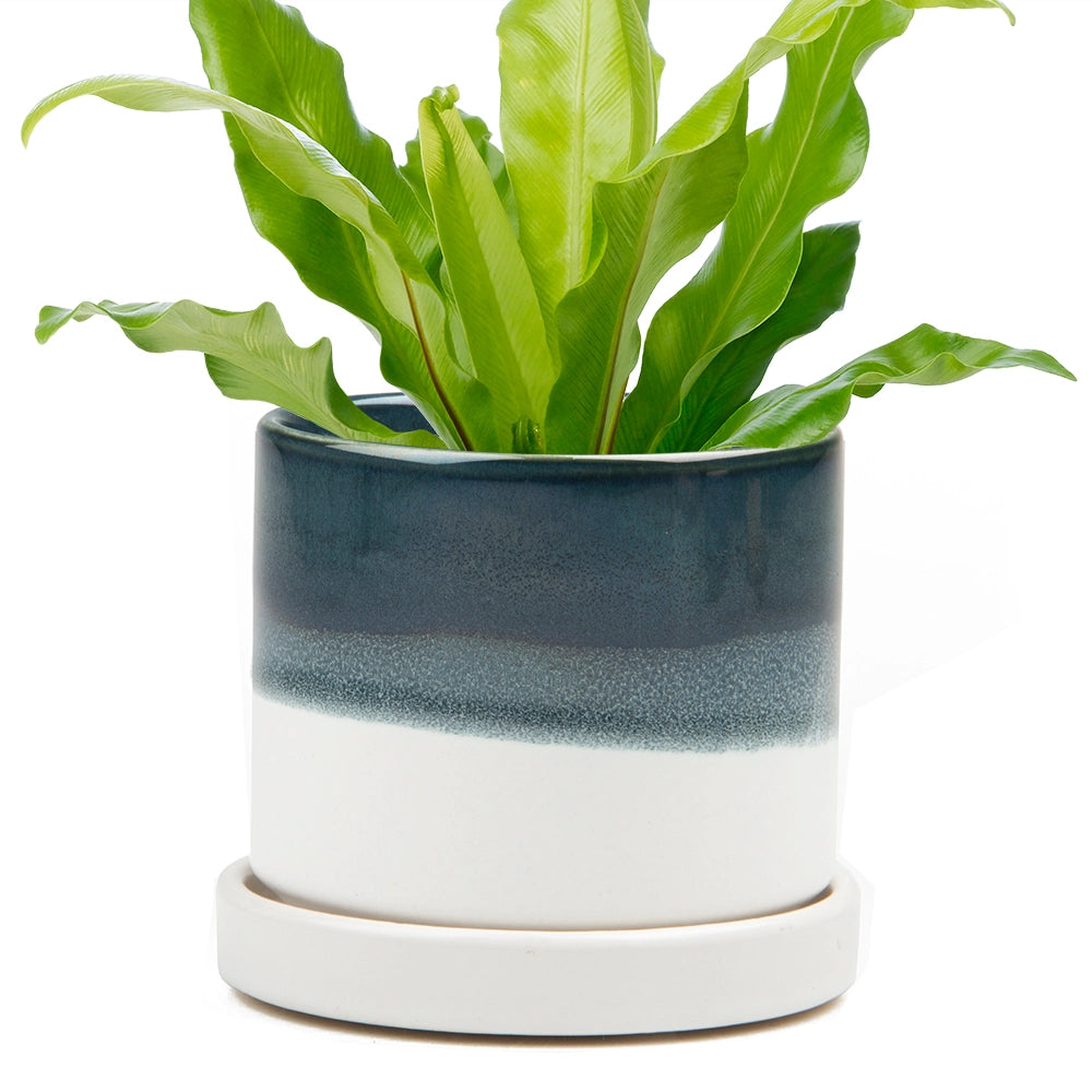 Minute Ceramic Pot
