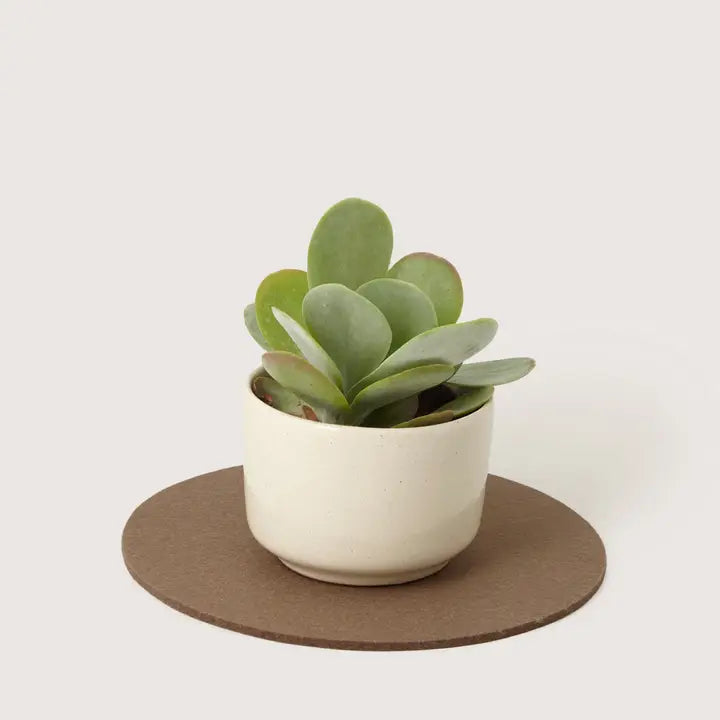 Round Merino Wool Trivet