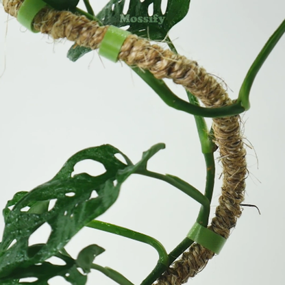 Bendable Coco Coir Pole