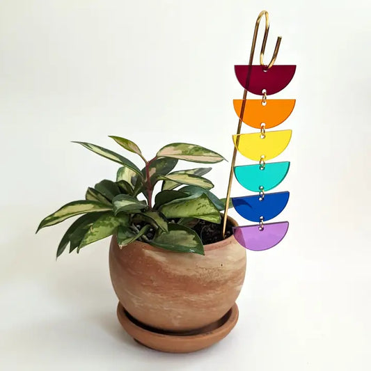 Rainbow Plant Pick