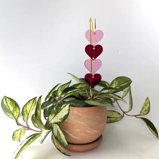 Heart Plant Pick