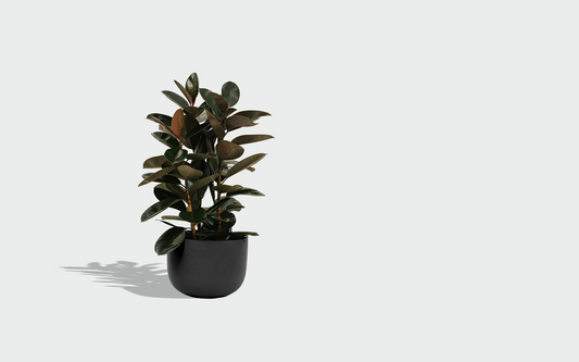 Stone Planter