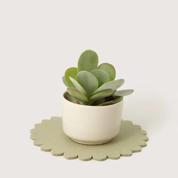 Crest Merino Wool Trivet