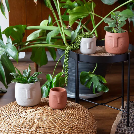 Concrete Face Planter