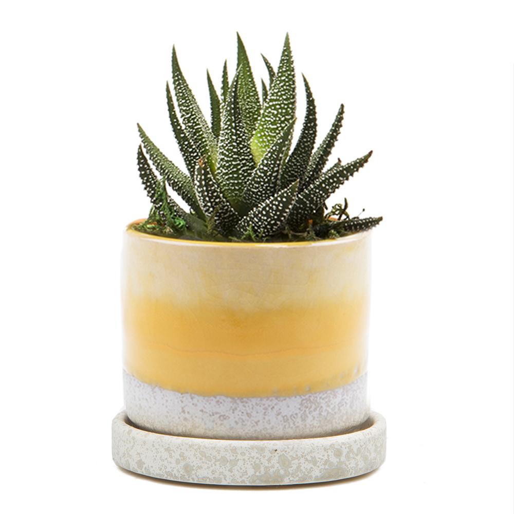 Minute Ceramic Pot