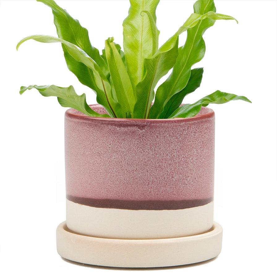 Minute Ceramic Pot