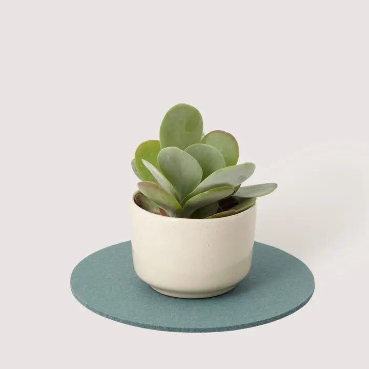 Round Merino Wool Trivet