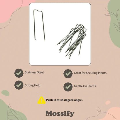 Plant Pins