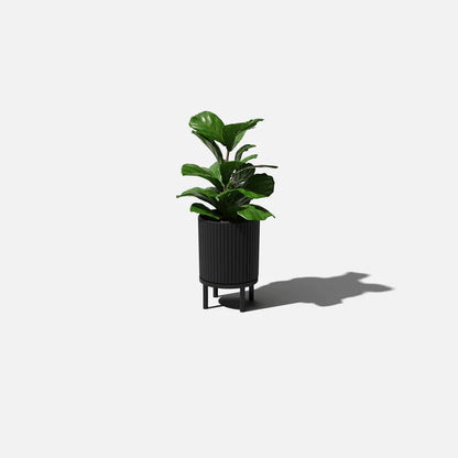 Demi Rasied Planter