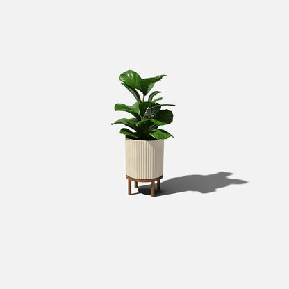 Demi Rasied Planter