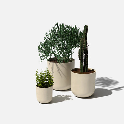 Kona Planter